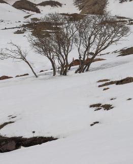 Empty field white painting 19