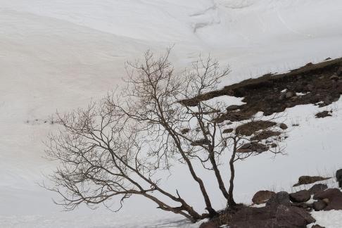 Empty field white painting 20