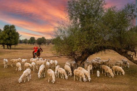Pastoral Song Chaoxia
