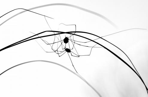 Online communication