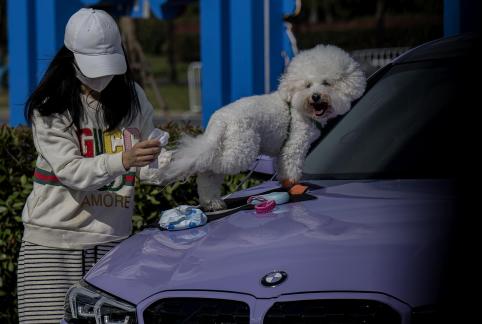 Halfway through the trip