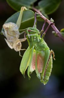 change qualitatively 2