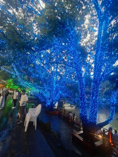 Full of starlight on the trees