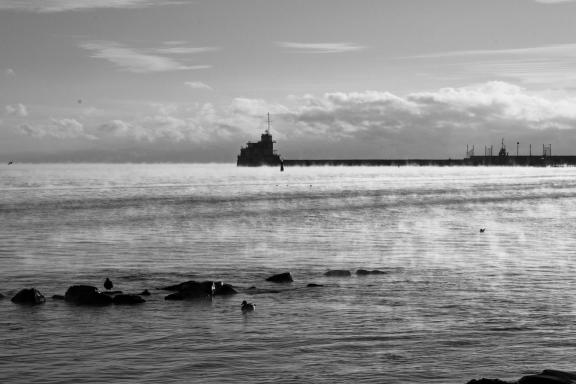 Winter sea
