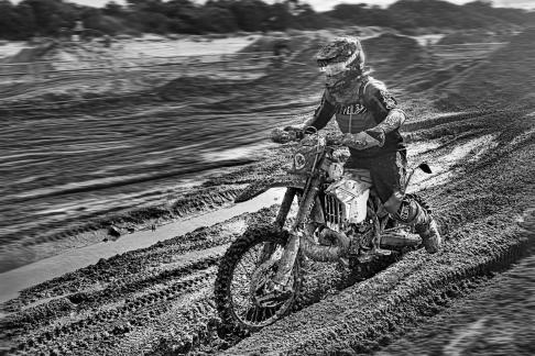 Mudlark