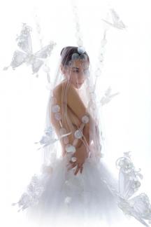 White Pearl Butterfly