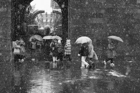 Snowflakes Dancing in the World 46