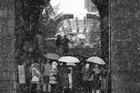 Snowflakes Dancing in the World 48
