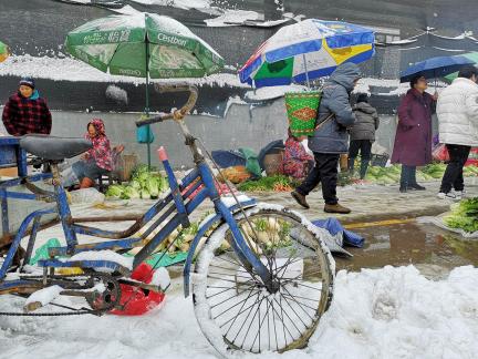 Snowy scenery 41