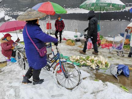 Snowy scenery 35