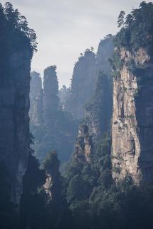 Thousand Peaks Pointed 41