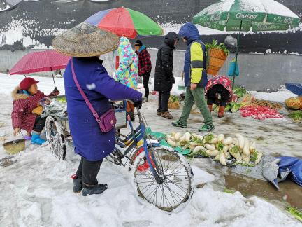 Snowy scenery 37