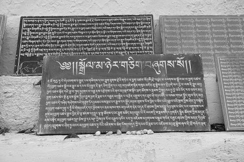 Tibetan architecture 24