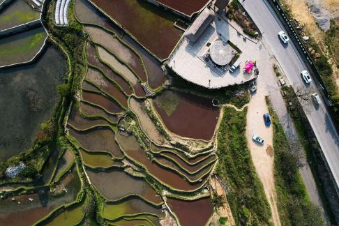 Terraced fields scenery 59