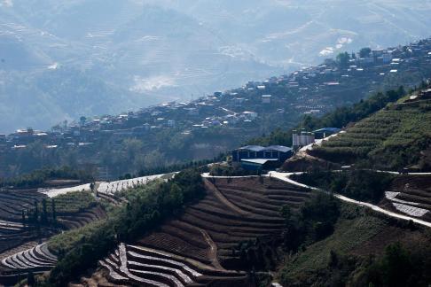Terraced fields scenery 60