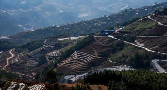 Terraced fields scenery 61