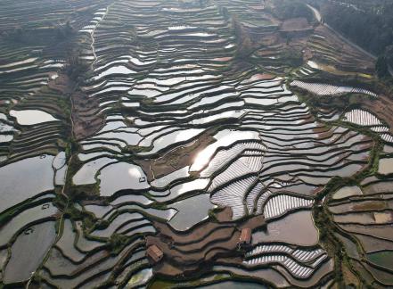 Terraced fields scenery 58