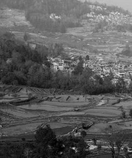 Terraced Fields Holy Scenery 22