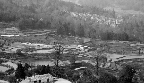 Terraced Fields Holy Scenery 23