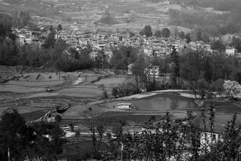Terraced Fields Holy Scenery 24