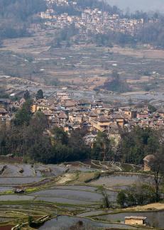 Terraced Fields Holy Scenery 27
