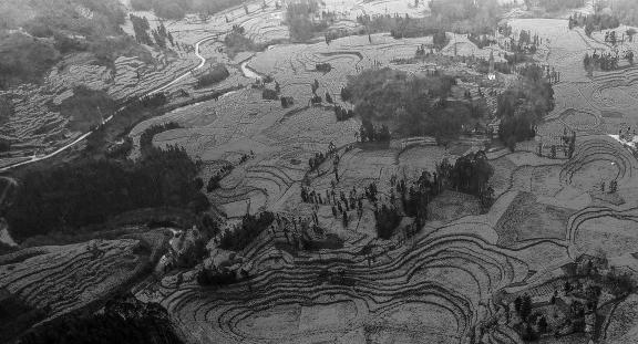The Poetry of the Earth 59