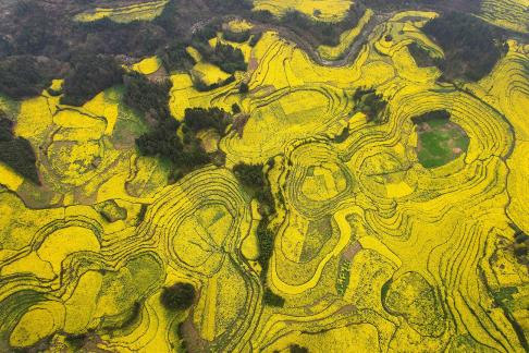 The Poetry of the Earth 50