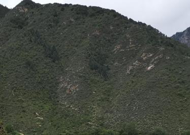 Green Mountain 2