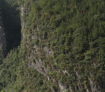 Green in the Green Mountains 3