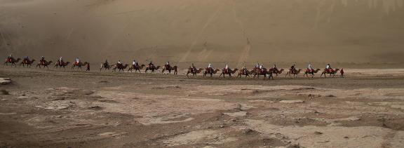 Desert Journey 46