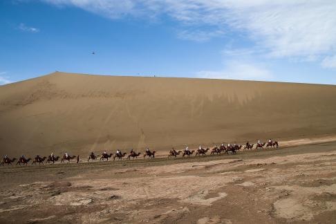 Desert Journey 47
