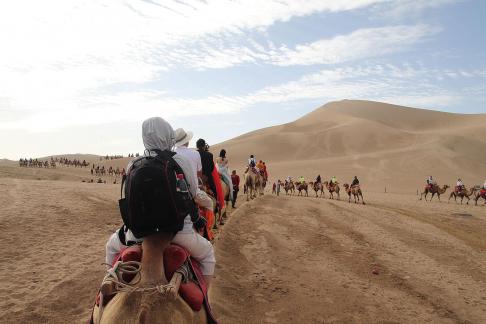 Desert Journey 48