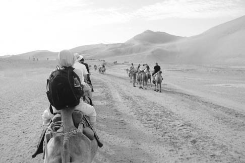 Desert Journey 41