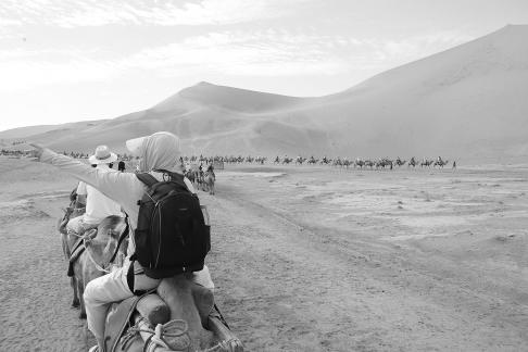 Desert Journey 42