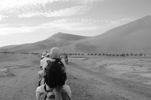 Desert Journey 43