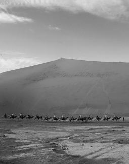 Desert Journey 44