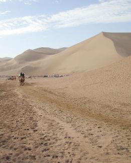 Desert Journey 37