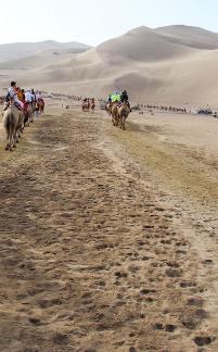 Desert Journey 38