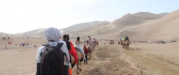 Desert Journey 39