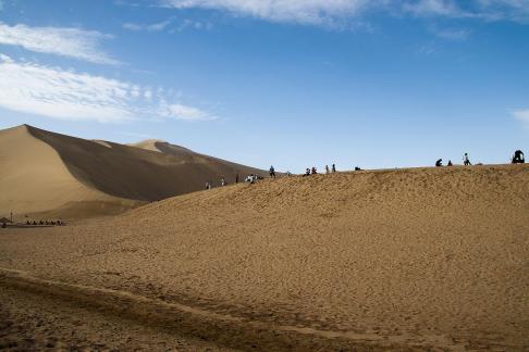 Desert Journey 40