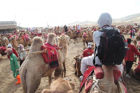 Desert Journey 33
