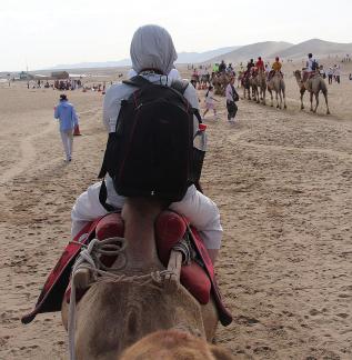 Desert Journey 35