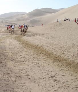 Desert Journey 36