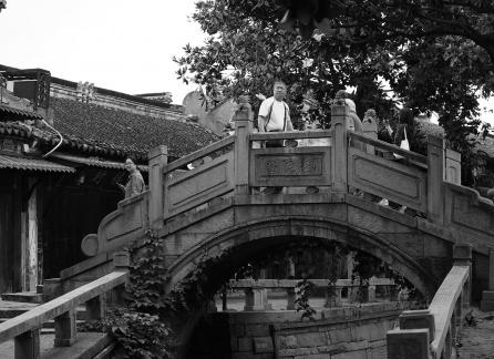 Jiangnan in the city 8