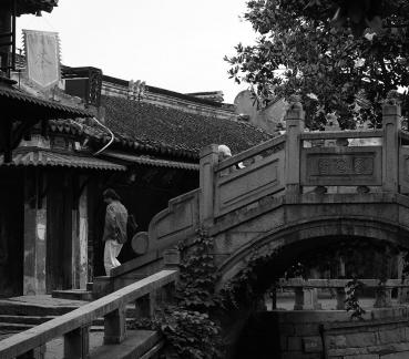 Jiangnan in the city 9