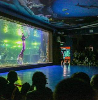 Aquarium Tour 30
