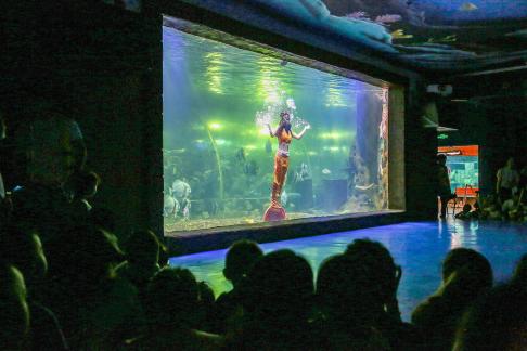 Aquarium Tour 31