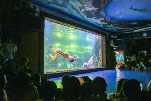 Aquarium Tour 32