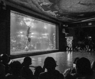 Aquarium Tour 28