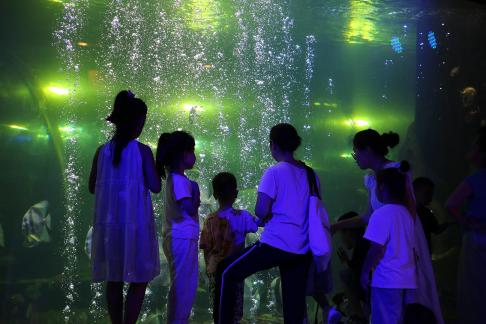 Aquarium Tour 21